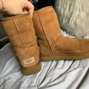 Classic ugg boots